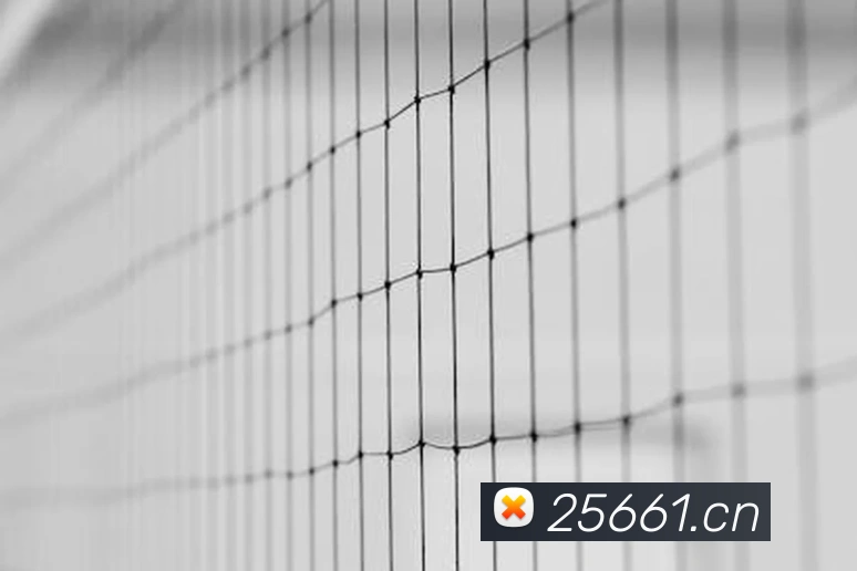 湖人裁掉丹尼尔斯！球队阵容调整背后的战略考量解析